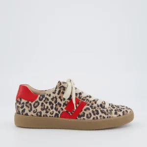 Paul Green - 5464 Leopard and Red Retro Trainer