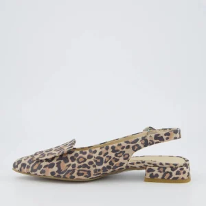 Paul Green - 6090 Leopard Sling Back