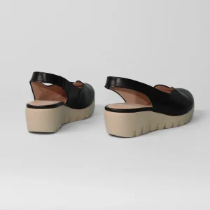 Wonders - C-33260 Black “Fly” Wedge Slingback